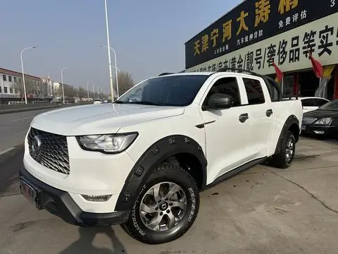 Great Wall 炮 2021