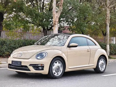 Volkswagen 甲壳虫 2019