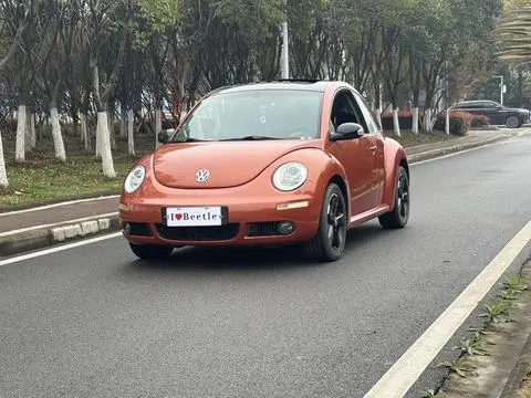 Volkswagen 甲壳虫 2010