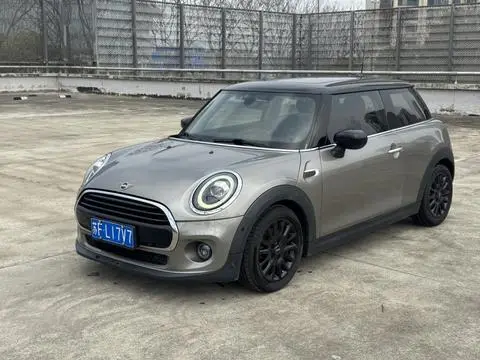 MINI MINI 2020