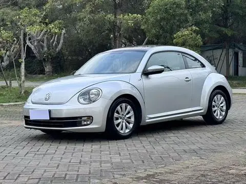Volkswagen 甲壳虫 2013