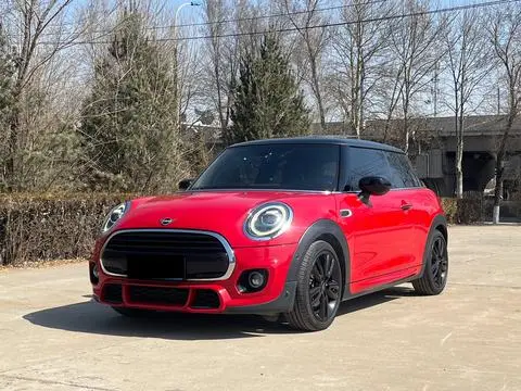 MINI MINI 2019
