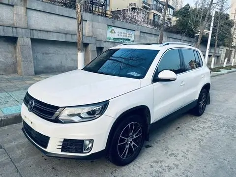 Volkswagen Tiguan 2013