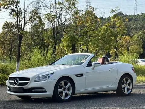 Mercedes-Benz SLK-Class 2011