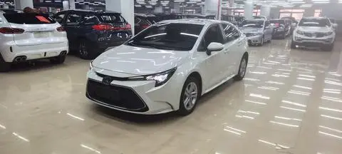 Toyota 雷凌 2019
