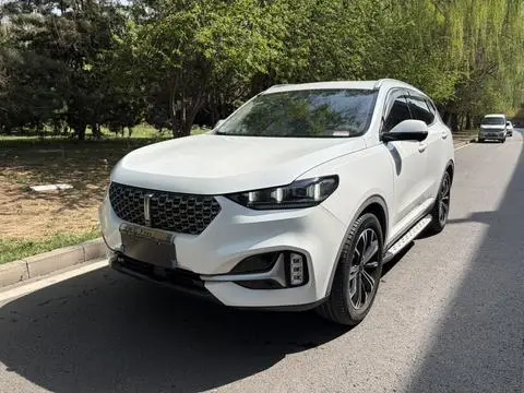 Wey VV6 2021