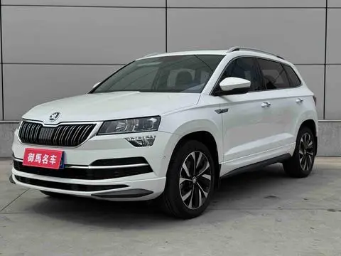 Skoda 柯珞克 2024