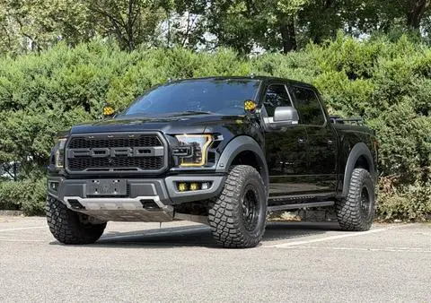 Ford F-150 Raptor 2017 — фото 1