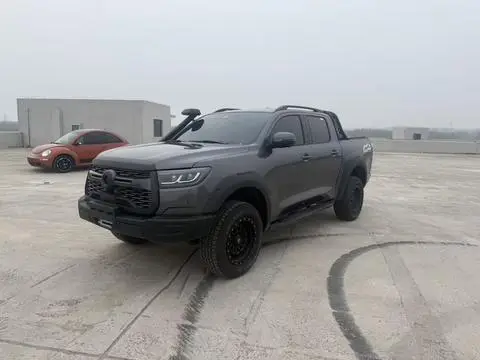 Great Wall 炮 2025