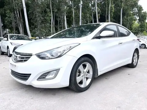Hyundai Elantra Langdong 2013