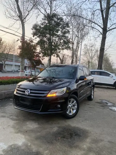 Volkswagen Tiguan 2013