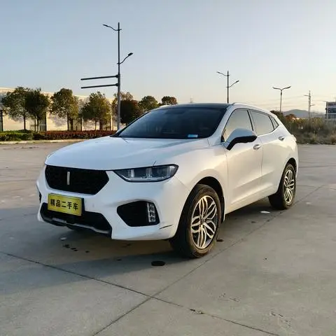 Wey VV5 2019