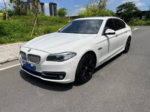 BMW 5 Series 2014 — фото 1