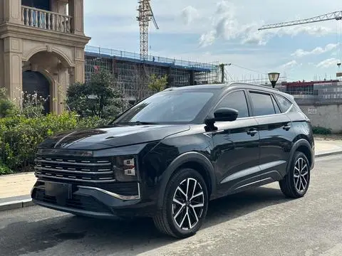 JAC (Sihao) X8 PLUS 2022