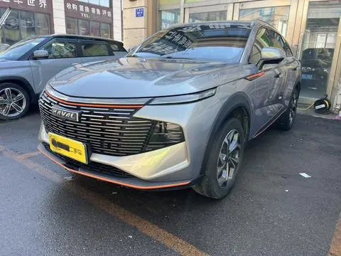 Haval 神兽 2021