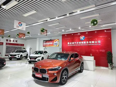 BMW X2 2019 — фото 1