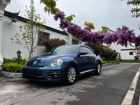 Volkswagen 甲壳虫 2018