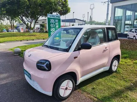 Zhidou 彩虹 2024