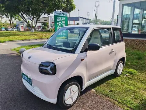 Zhidou 彩虹 2024