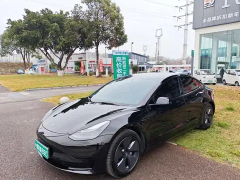 Tesla Model 3 2022