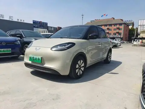 Wuling Bingo 2023