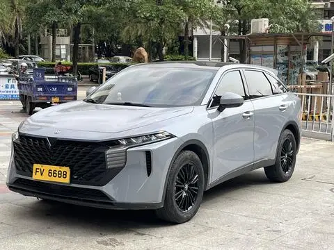 Venucia 大V 2022