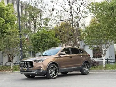 Leopaard Mattu 2020