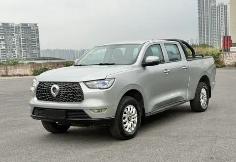 Great Wall 炮 2019