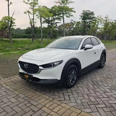Mazda CX-30 2020 — фото 1