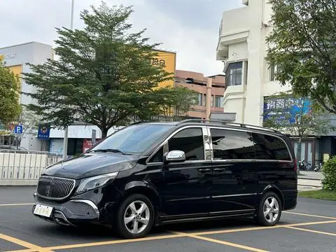 Mercedes-Benz 唯雅诺 2013