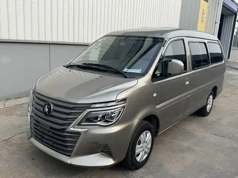 Forthing Lingzhi 2023