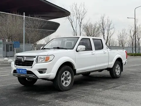 Dongfeng 锐骐 2019