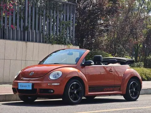 Volkswagen 甲壳虫 2010