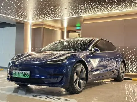 Tesla Model 3 2019
