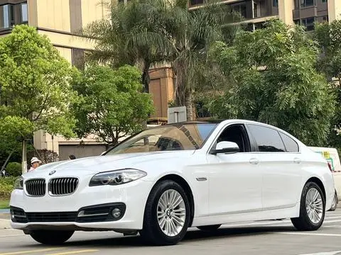 BMW 5 Series 2014
