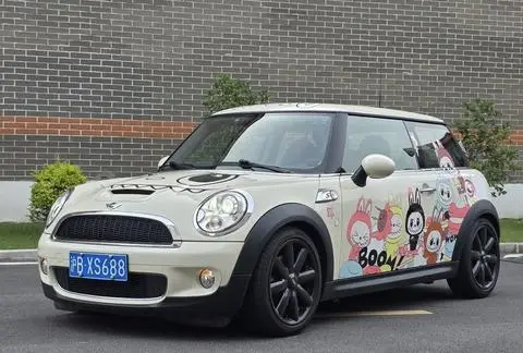 MINI MINI 2010