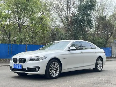 BMW 5 Series 2014