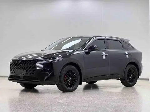 Venucia 大V 2023