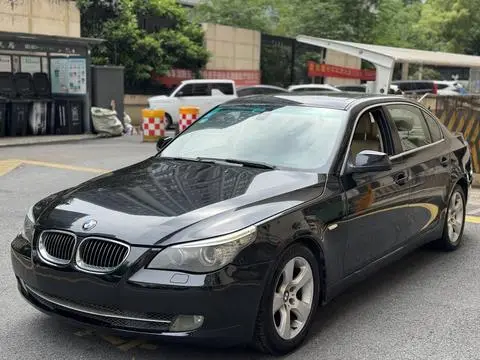 BMW 5 Series 2010