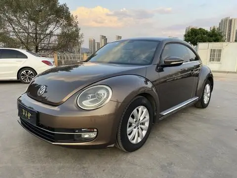 Volkswagen 甲壳虫 2014