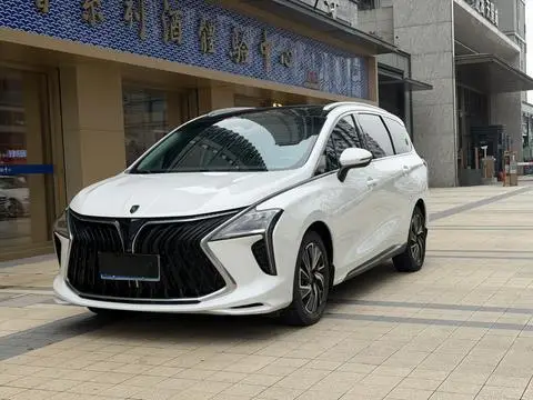 Forthing 风行游艇 2022