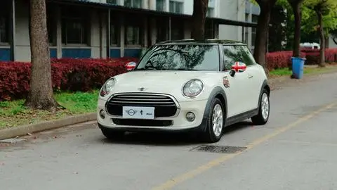 MINI MINI 2014
