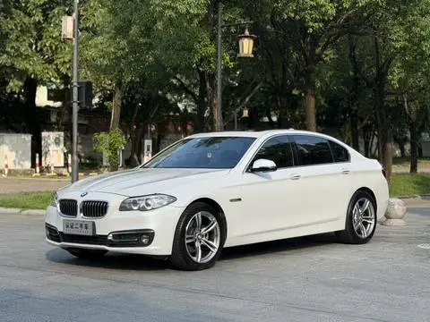 BMW 5 Series 2014