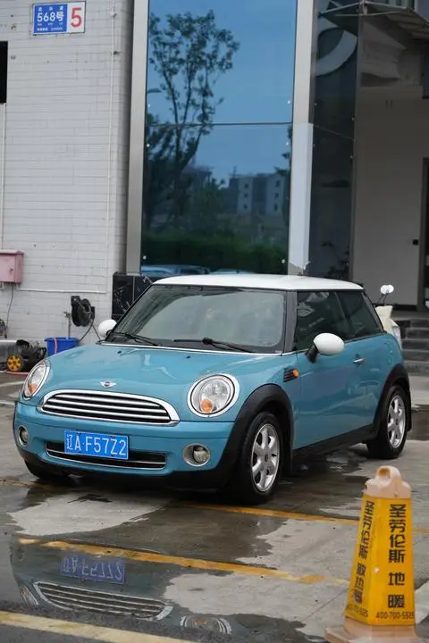 MINI MINI 2010
