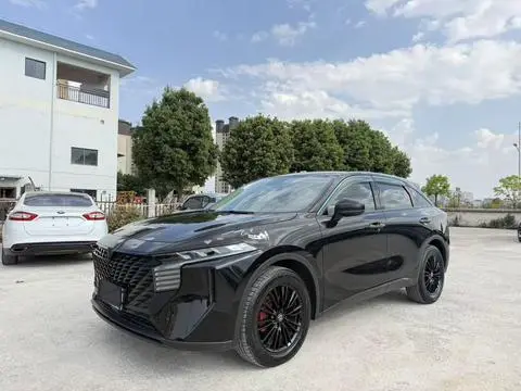 Venucia 大V 2022