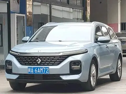 Baojun Valli 2021
