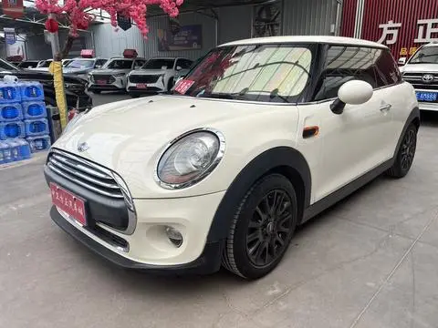 MINI MINI 2014