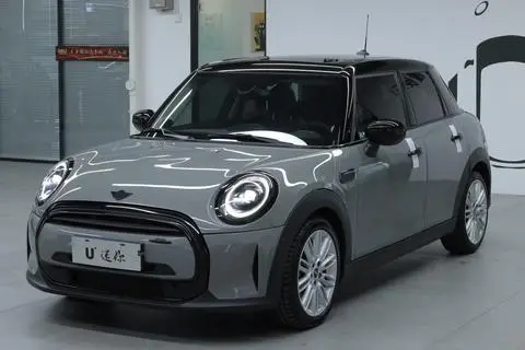 MINI MINI 2022