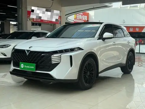 Venucia 大V 2023