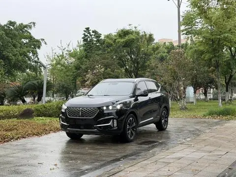 Wey VV6 2021
